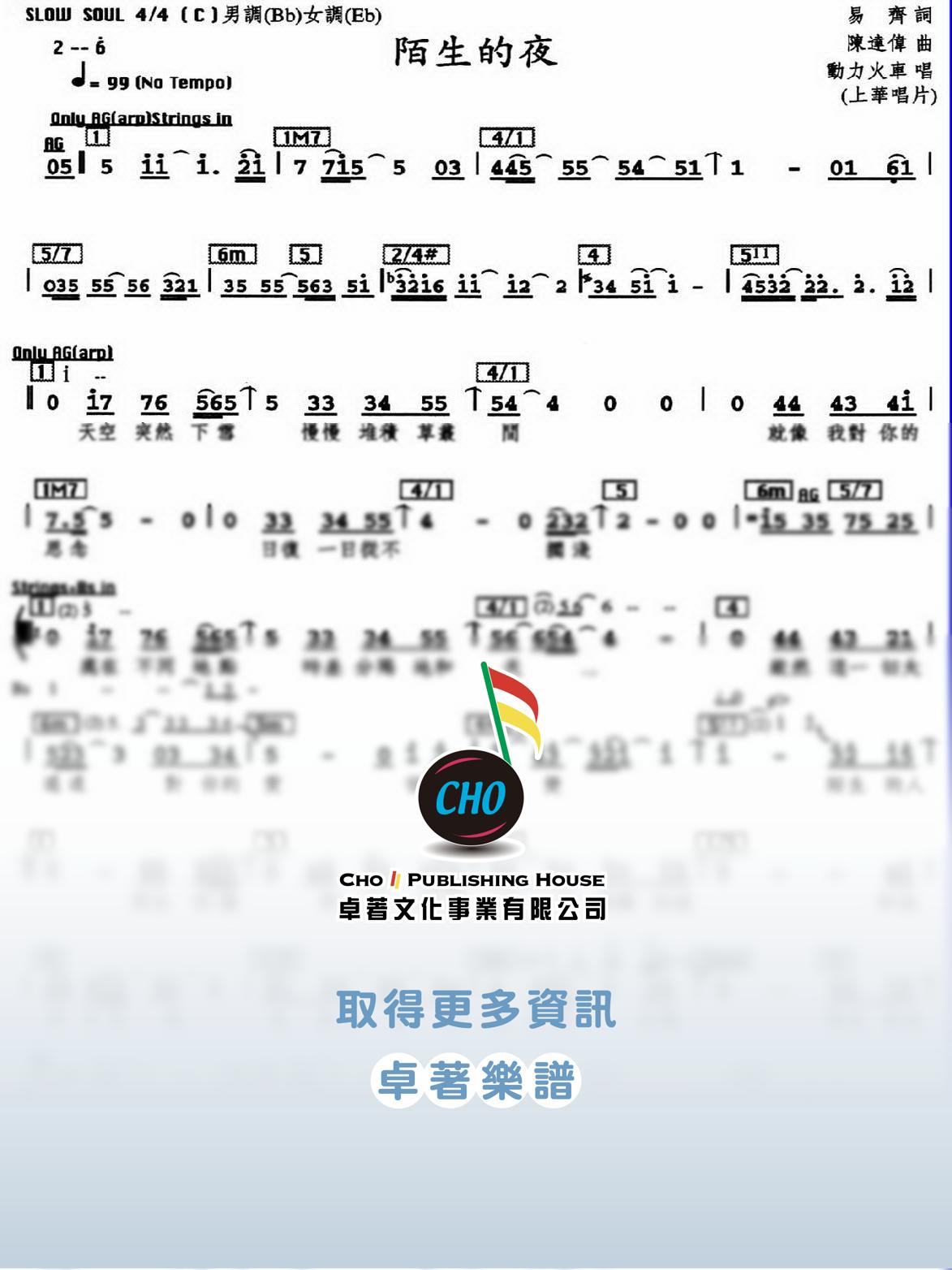 陌生的夜